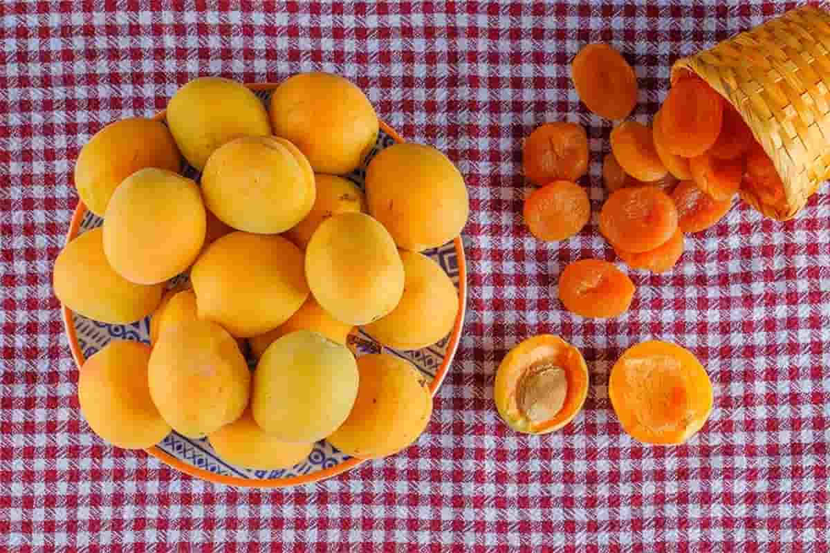 قیسی میوه
